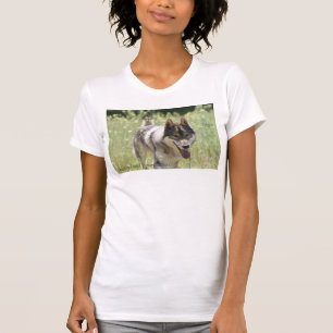 Le loup en T-shirt sauvage