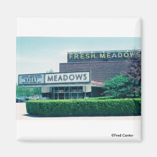 Le Magnet Théâtre Meadows du siècle (Devant)