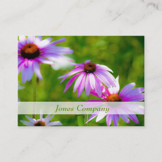 Le magnifique Carte de visite floral Coneflowers (Devant)