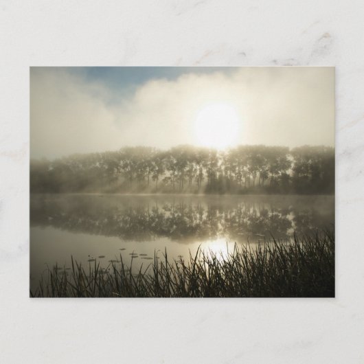 Le matin bruyant - Carte postale (Devant)