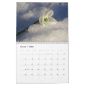 Le meilleur cadeau pour les meilleurs calendriers  (Jan 2026)