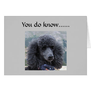 LE MENSONGE EST INACCEPTABLE=40e HUMOUR