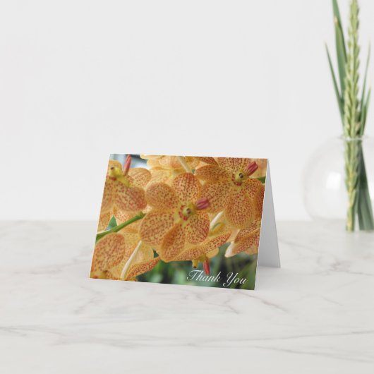 Le Merci a pointillé l'orchidée (le blanc à (Devant)