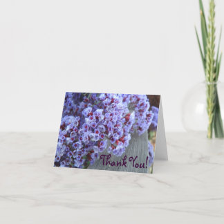 Le Merci de pourpre Itty-Bitty