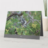 Le Merci des petits oiseaux (Dos)