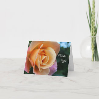 Le Merci s'est levé