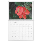 "LE MIRACLE DES FLEURS" 12 MOIS 2026 CALENDRIER (Jan 2026)