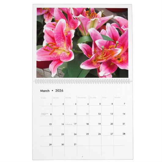 "LE MIRACLE DES FLEURS" 12 MOIS 2026 CALENDRIER (Mar 2026)