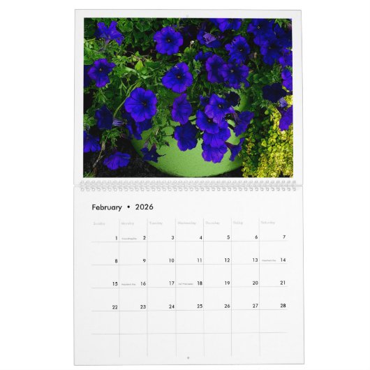 "LE MIRACLE DES FLEURS" 12 MOIS 2026 CALENDRIER (Feb 2026)