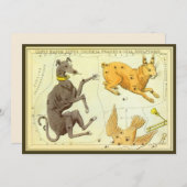 Le miroir de l'Ukraine, la carte céleste de l'astr (Devant / Derrière)