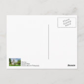 Le Missouri Capitol Penser À Vous Carte Postale (Dos)