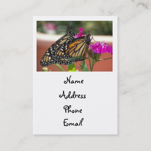 Le monarque jumelle des cartes de #1-business (Devant)