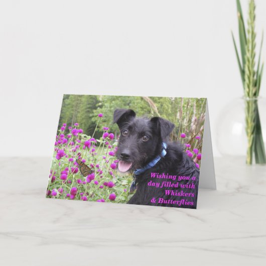 Le monarque souhaite la carte (Devant)