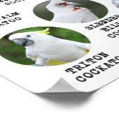 Le Monde des Cockatoos - Poster imprimable - B2 et (Coin)
