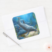 Le monde du Sticker Dolphin (Enveloppe)