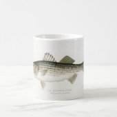 Le Mug du Pêcheur de Bar Rayé (Centre)