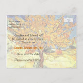 Le Mulberry Tree enregistre la date carte postale. (Dos)