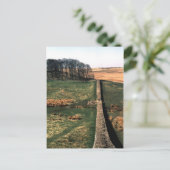 Le mur d'Hadrien | Carte postale (Debout devant)