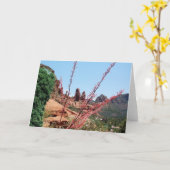 Le mystère de la carte Roche-vide rouge (Fleur jaune)