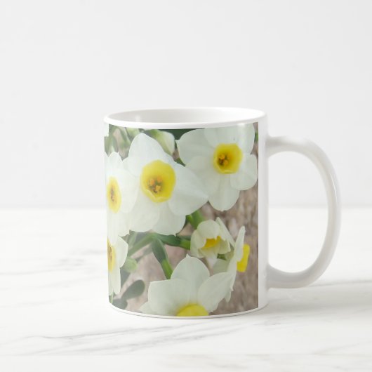 Le narcisse blanc fleurit la tasse (Droite)