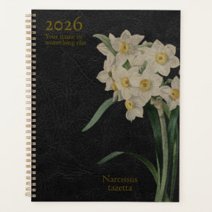 Le Narcissus Tazetta : Perfection Paperwhite