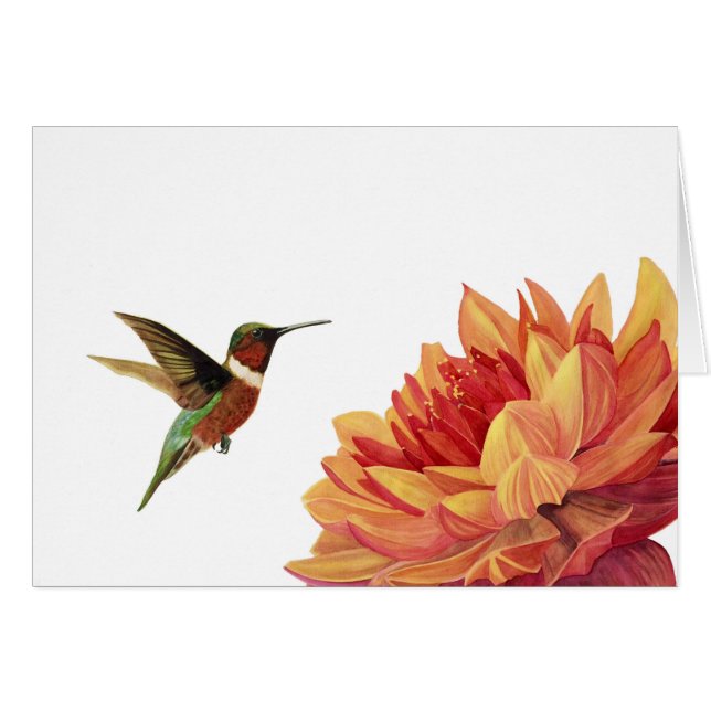 Le naturaliste (Devant horizontal)