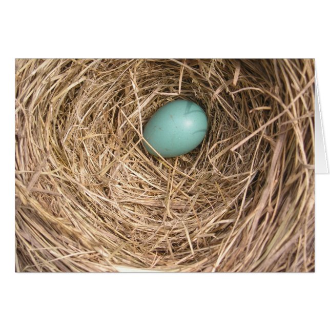 Le nid des oiseaux (la Virginie Occidentale) (Devant Horizontal)