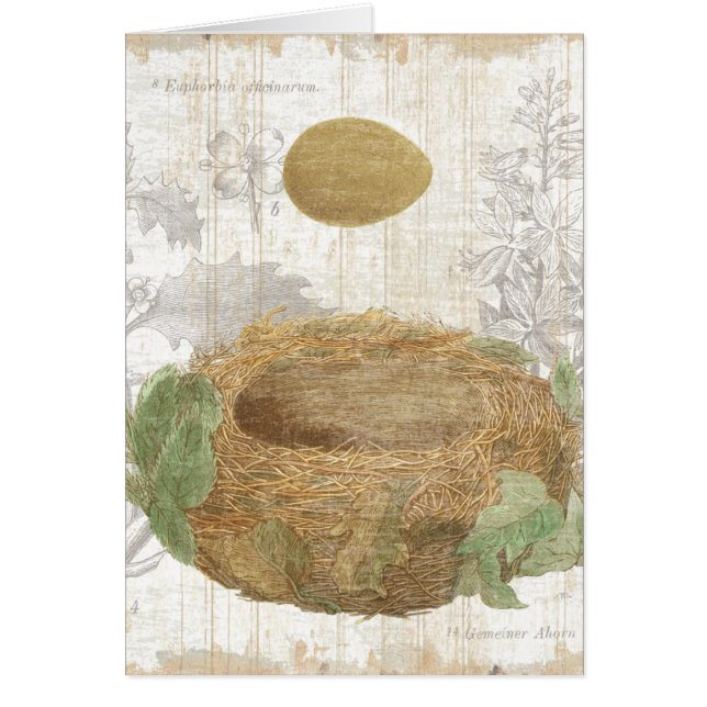 Le nid d'un oiseau avec un oeuf Brown (Devant)