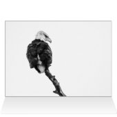 Le Noble aigle des chauves-souris (Intérieur Horizontal (Haut))