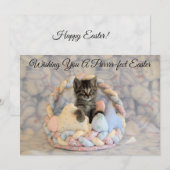 Le panier de Pâques de Patton - Carte plate Chat/  (Devant / Derrière)