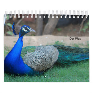 Le paon comme calendrier