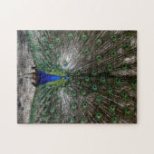 Le paon difficile de cadeaux de puzzles fait (Horizontal)