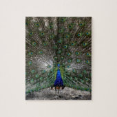 Le paon difficile de cadeaux de puzzles fait (Vertical)