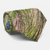 Le paon fait varier le pas de la cravate des (Roulé)