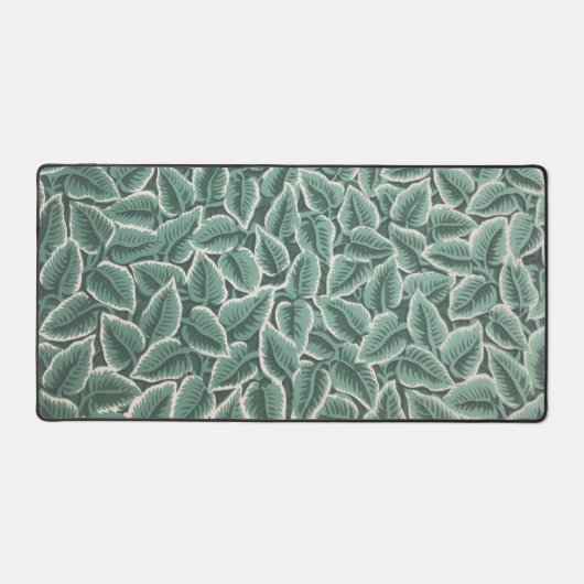 Le papier peint de Jane Austen (Recto)