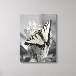 Le papillon de machaon a étiré la copie de toile