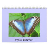 Le papillon photographie le calendrier 2012 (Protection)