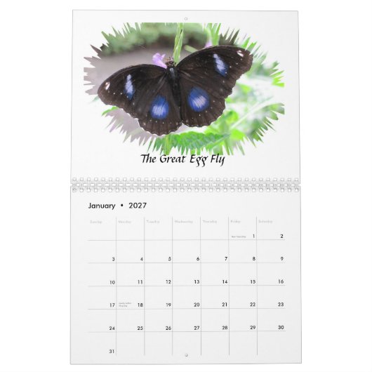 Le papillon photographie le calendrier 2012 (Jan 2027)