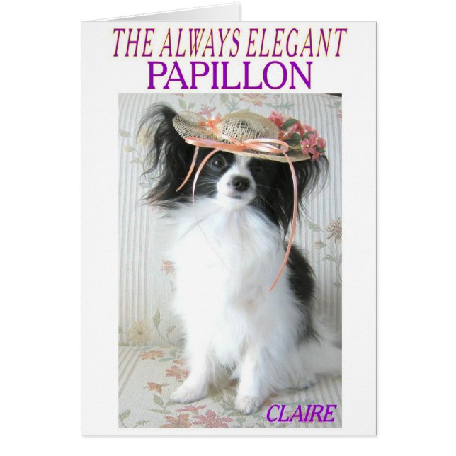 LE PAPILLON TOUJOURS ÉLÉGANT (Devant)