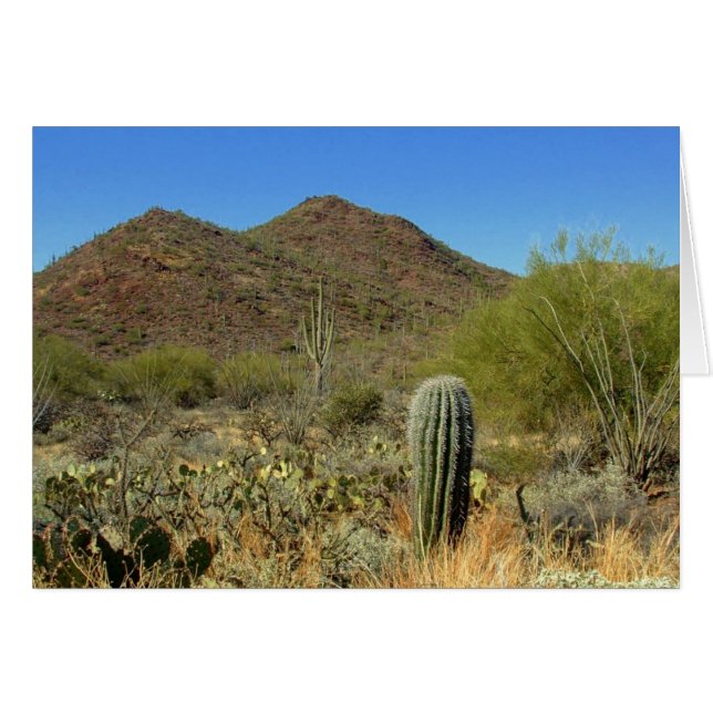 Le paradis du désert (Devant Horizontal)