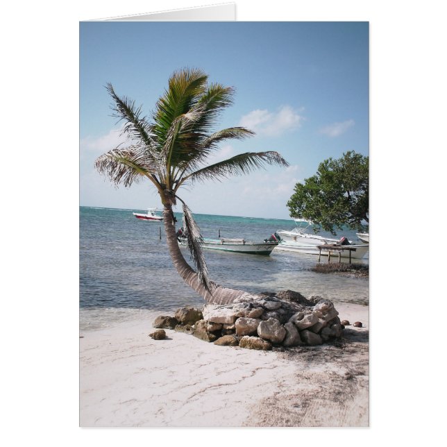 Le paradis du pêcheur (Devant)