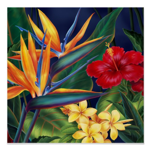Le paradis tropical Hawaï Affiches florales (Devant)