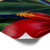 Le paradis tropical Hawaï Affiches florales (Coin)