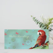 LE PARROT ~ Carte de voeux / Carte postale (Debout devant)