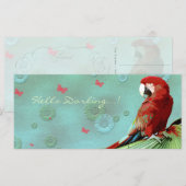 LE PARROT ~ Carte de voeux / Carte postale (Devant / Derrière)