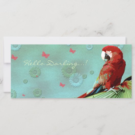 LE PARROT ~ Carte de voeux / Carte postale (Devant)