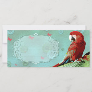 LE PARROT ~ Carte de voeux / Carte postale