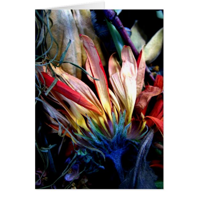 le passage des fleurs (Devant)