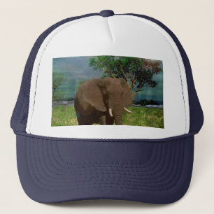 Le pâturage des éléphants dans le Bush, Casquette