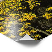 Le Pavillon Royal, Brighton (UK) Photographie (Coin)